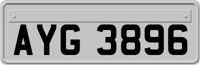 AYG3896