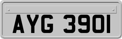AYG3901