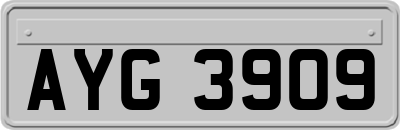 AYG3909