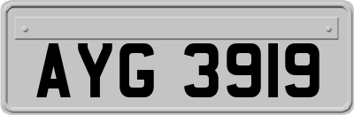 AYG3919