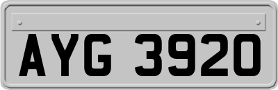 AYG3920