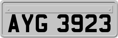 AYG3923