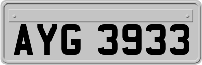 AYG3933