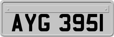AYG3951