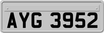 AYG3952