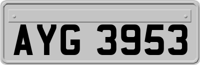 AYG3953
