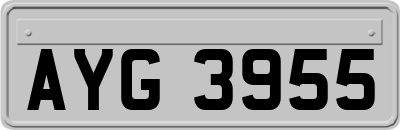 AYG3955
