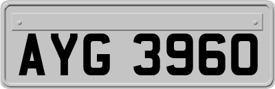 AYG3960