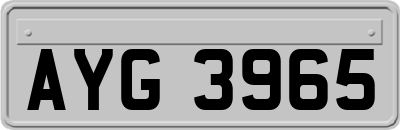 AYG3965