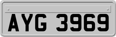AYG3969