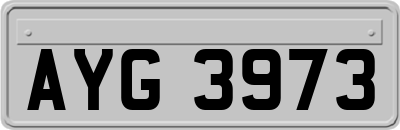 AYG3973