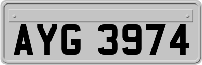 AYG3974
