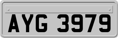 AYG3979