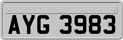 AYG3983
