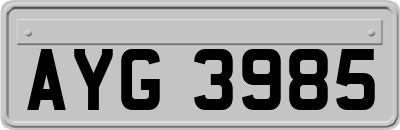 AYG3985