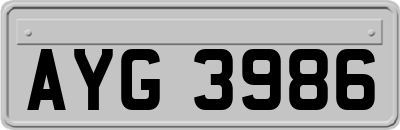 AYG3986