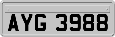 AYG3988