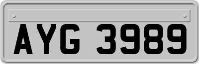 AYG3989