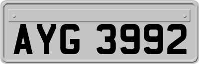 AYG3992