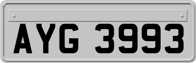 AYG3993