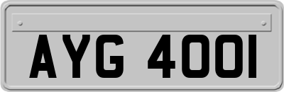 AYG4001