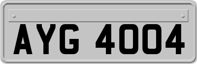 AYG4004