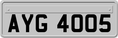 AYG4005