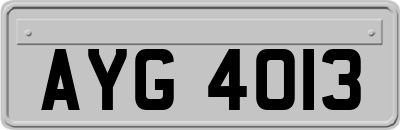 AYG4013