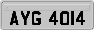 AYG4014