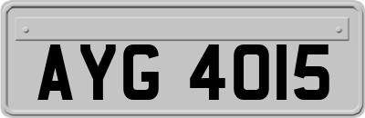 AYG4015
