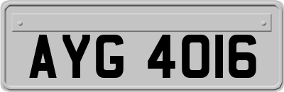 AYG4016