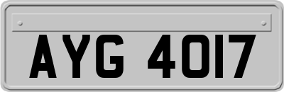 AYG4017
