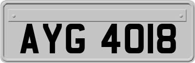 AYG4018