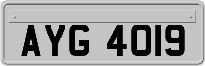 AYG4019
