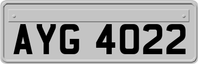 AYG4022