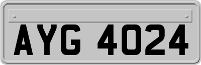 AYG4024