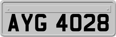 AYG4028