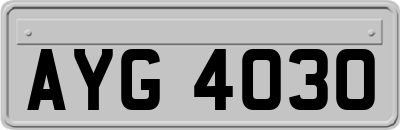 AYG4030