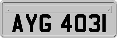 AYG4031