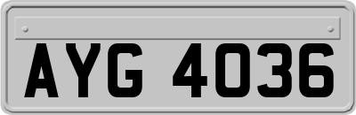 AYG4036