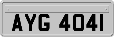 AYG4041