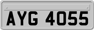 AYG4055
