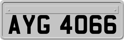 AYG4066