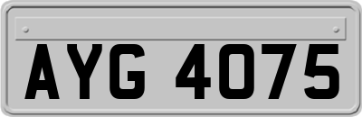 AYG4075