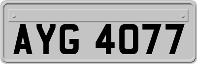 AYG4077