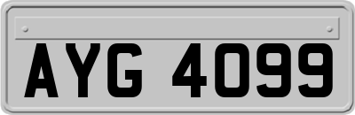 AYG4099