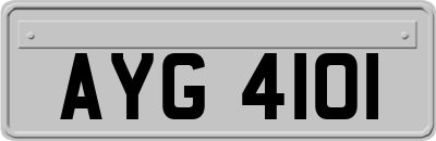 AYG4101