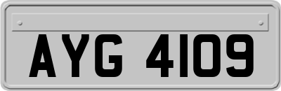 AYG4109