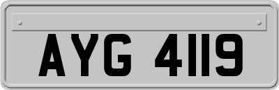 AYG4119