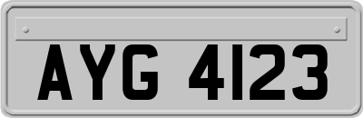 AYG4123